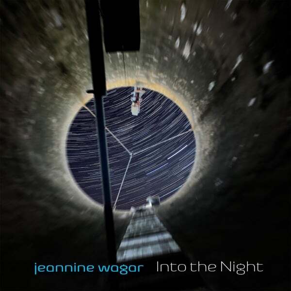 Cover art for Into the Night
